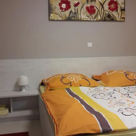 Apartma & Rafting Apartment *