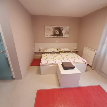 Apartma & Rafting * كوباريد