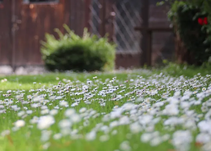 Apartma & Rafting Apartamento *