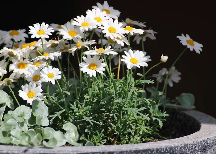 アパート Apartma & Rafting *