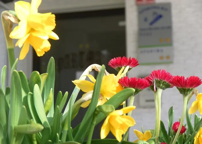 アパート Apartma & Rafting コバリード