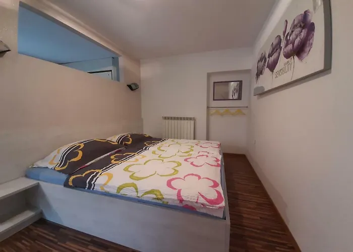 Apartma & Rafting アパート